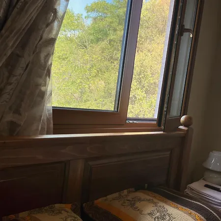 жанет Guest house